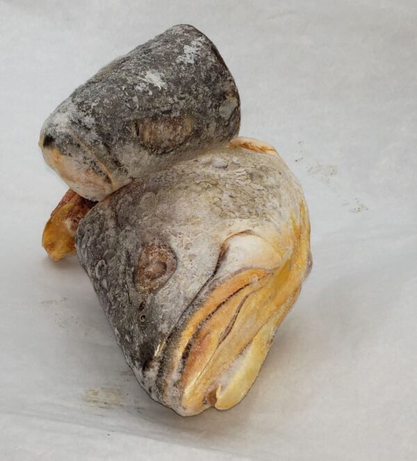 Fish Head