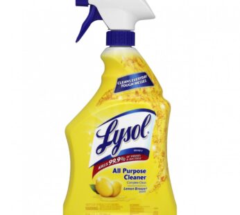 Lysol All Purpose Cleaner 32oz Assorted