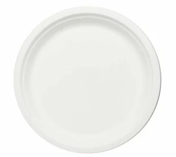 9 inch Eco plastic Plates 20pcs